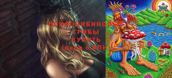 соль ск Богородицк