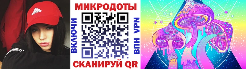 маркетплейс как зайти ОМГ ОМГ как зайти Болгар наркошоп Галлюциногенные грибы Magic Shrooms